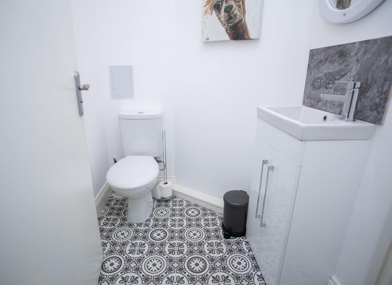 11 College Place North Belfast Zewnętrze zdjęcie