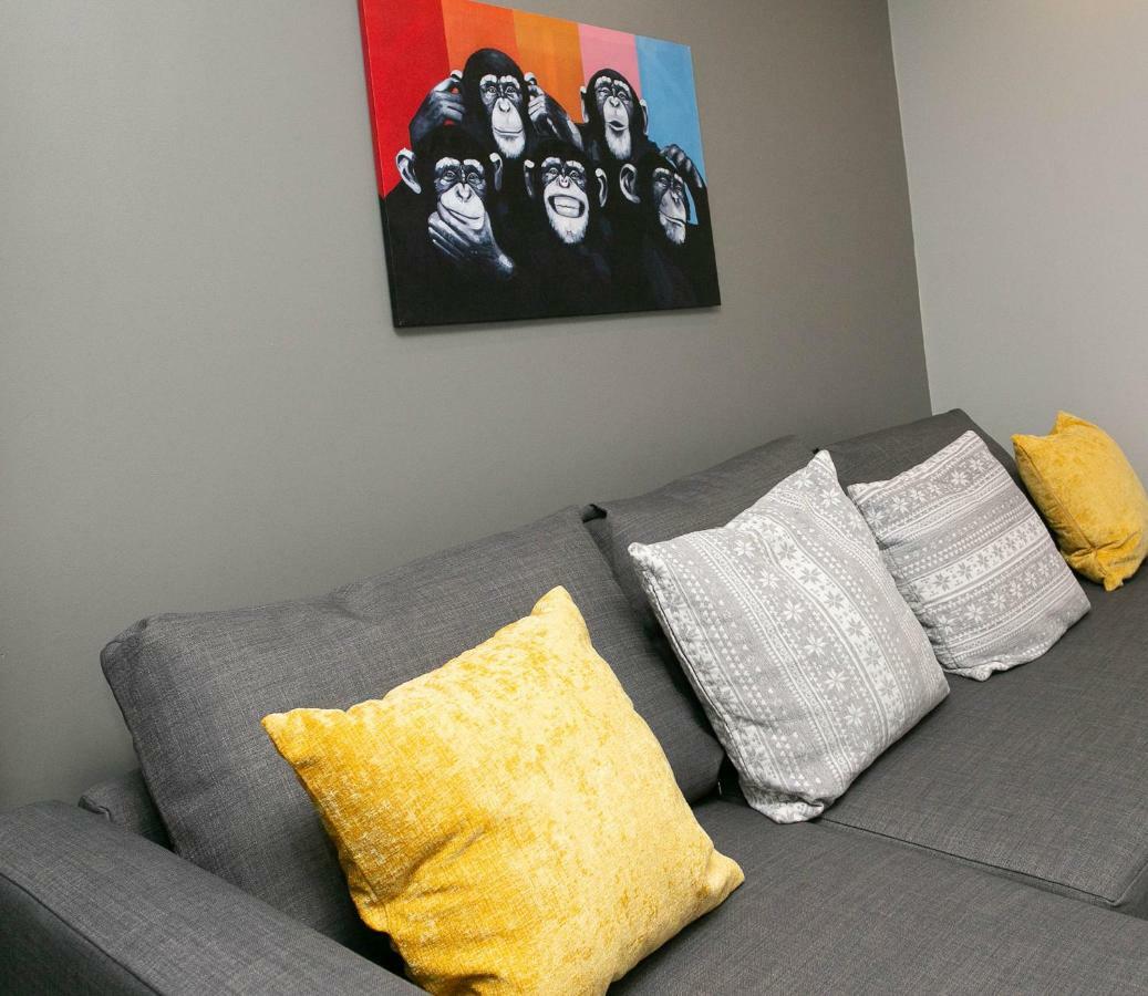 11 College Place North Belfast Zewnętrze zdjęcie